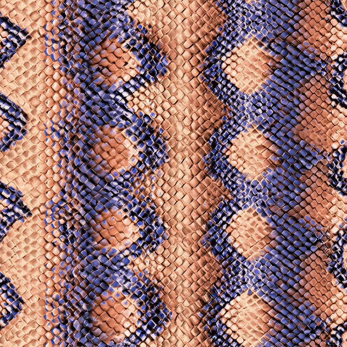 Snake Skin | Multicolor