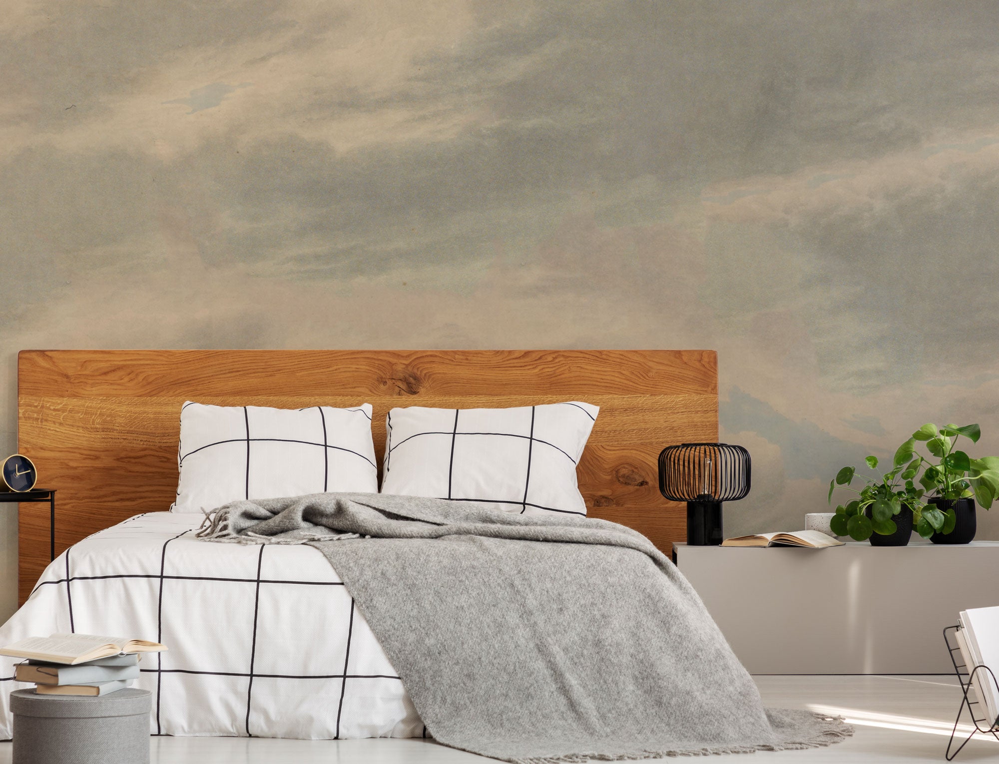 Vintage Skies Graywhite Mural