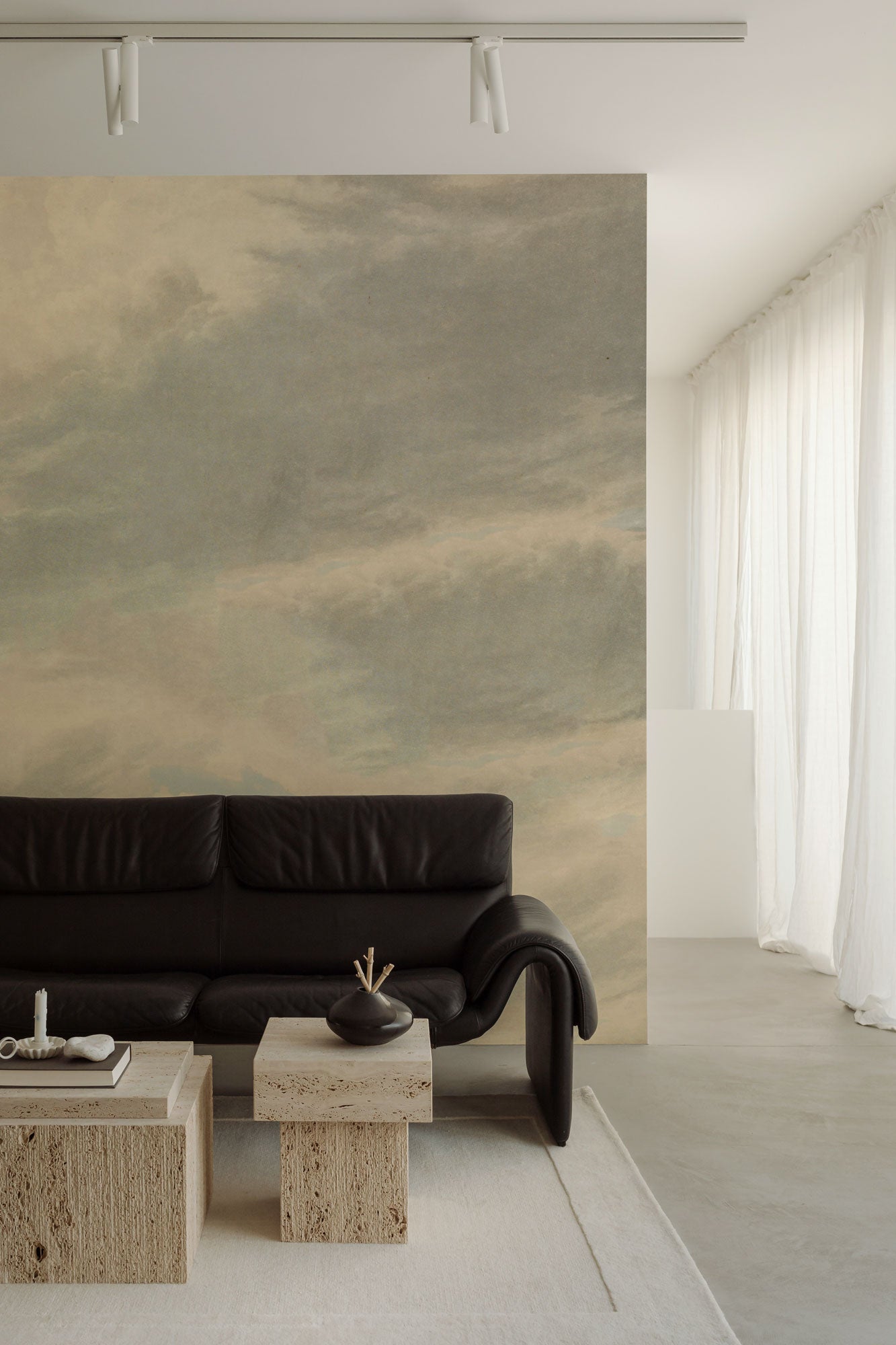 Vintage Skies Graywhite Mural