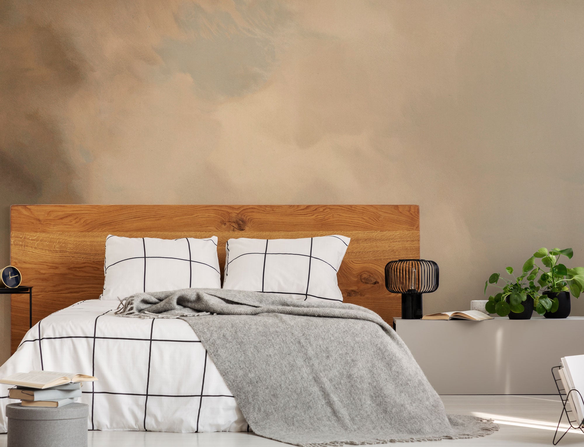 Vintage Skies Ray Mural