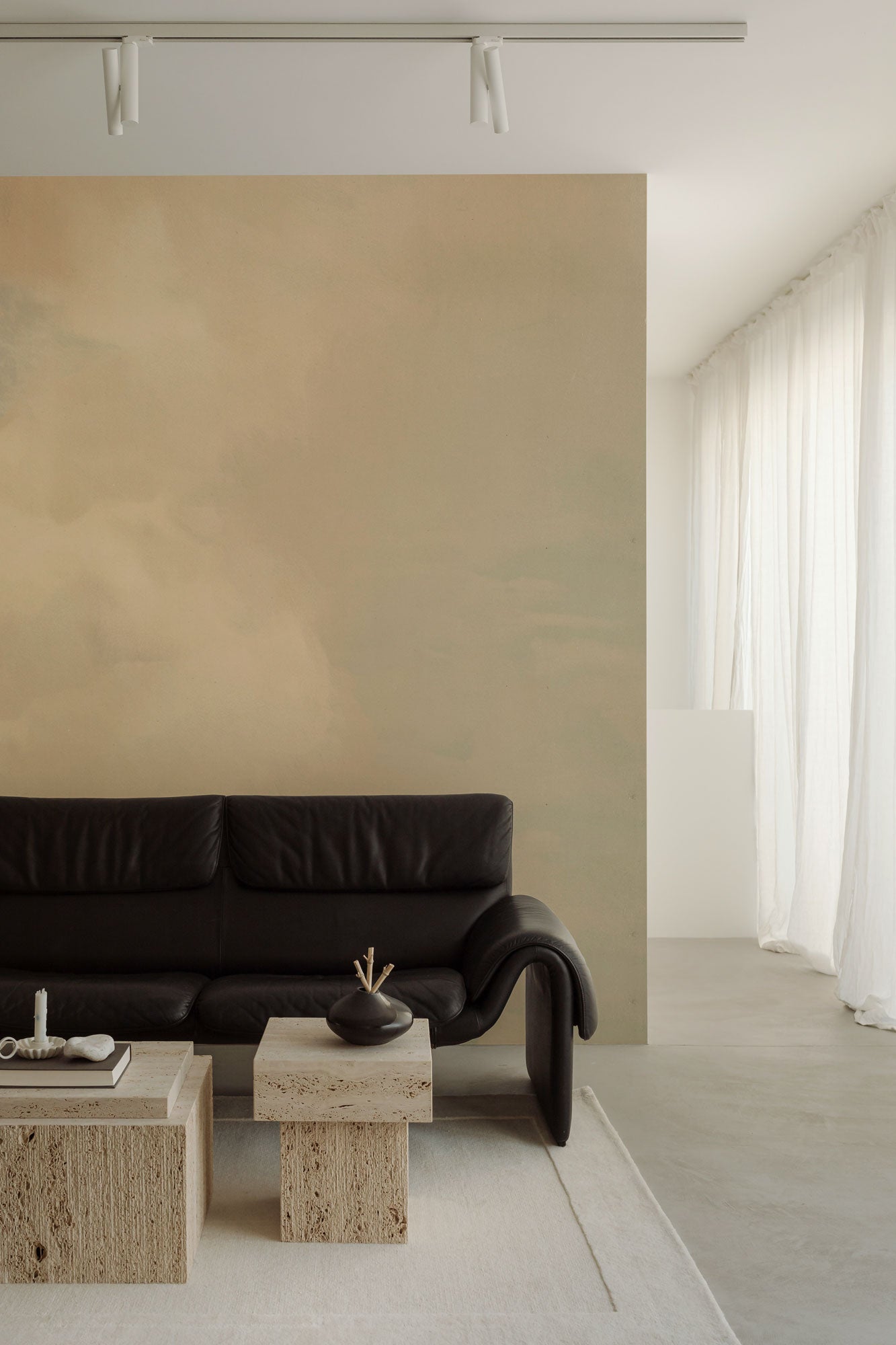 Vintage Skies Ray Mural