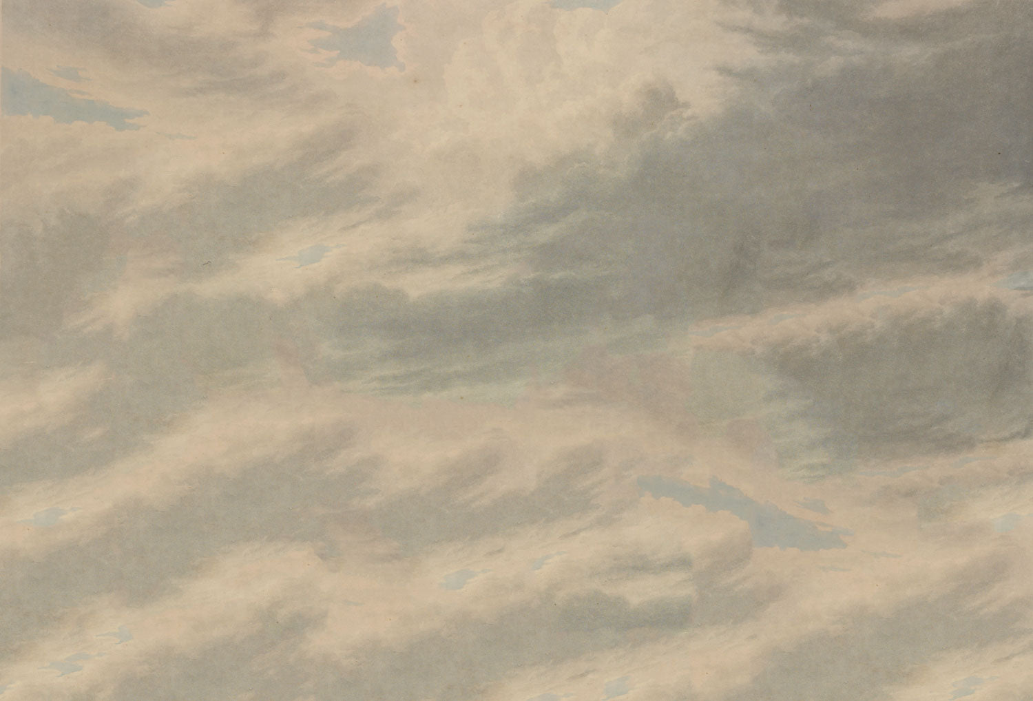 Vintage Skies Graywhite Mural