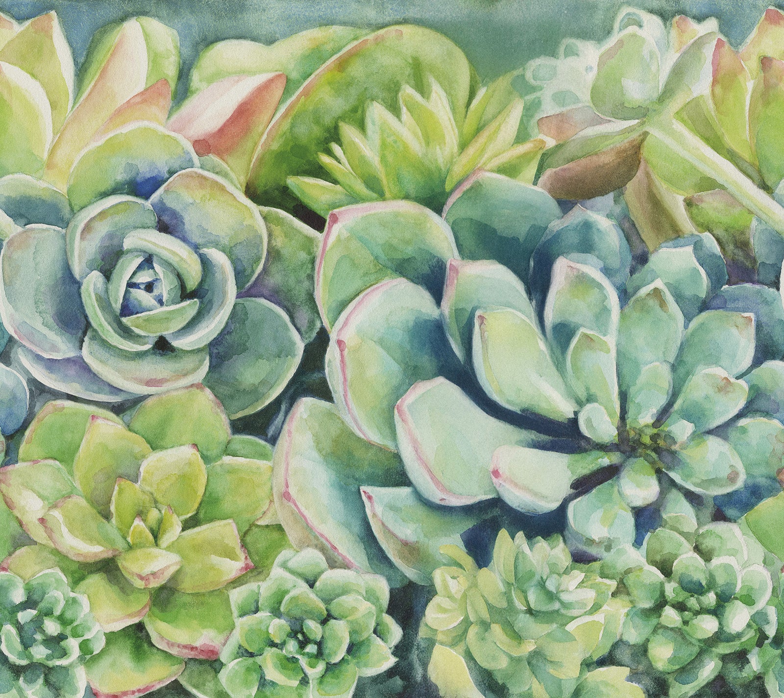 Watercolor Succulents Mural