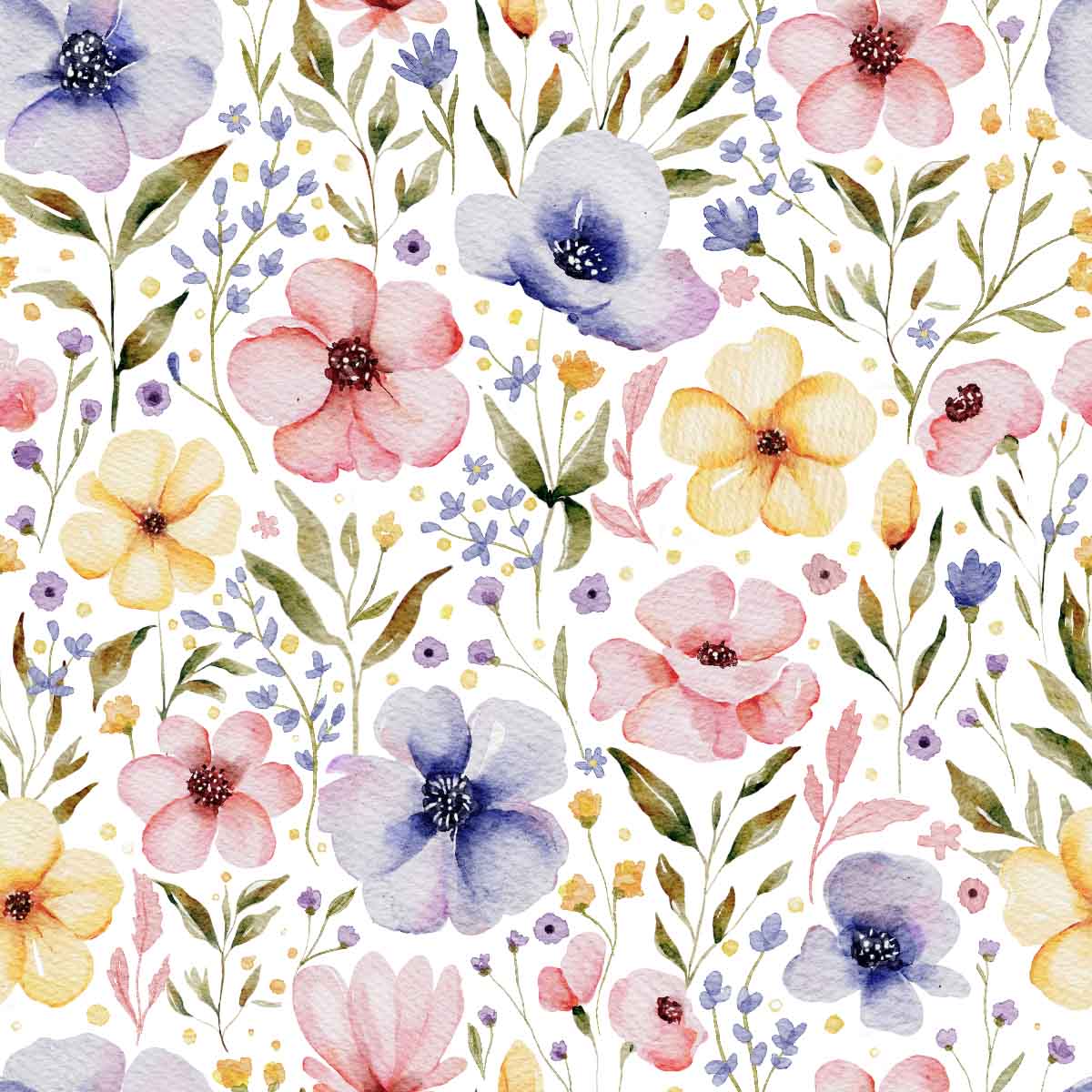 Watercolor Cosmos Flowers