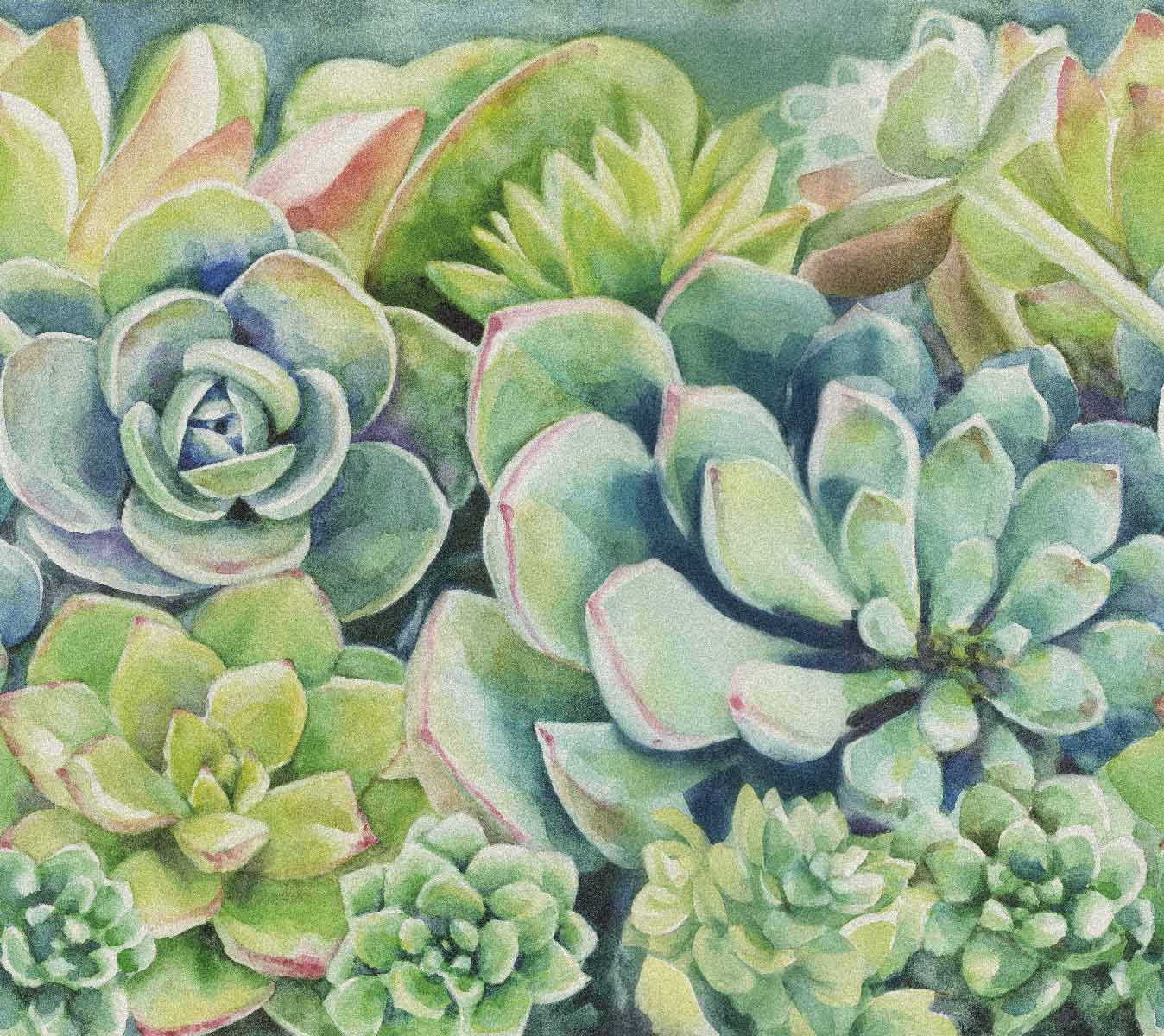 Watercolor Succulents