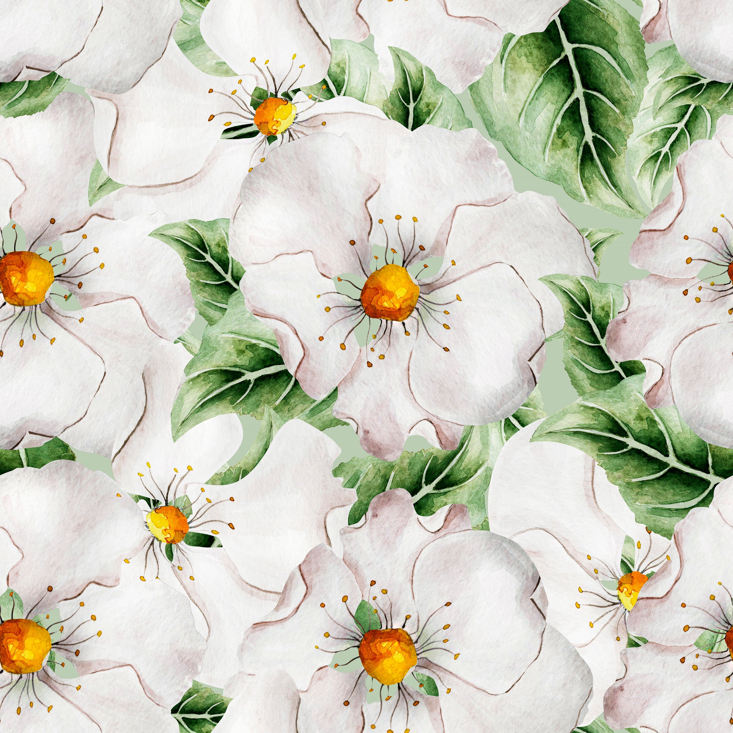 White Florals